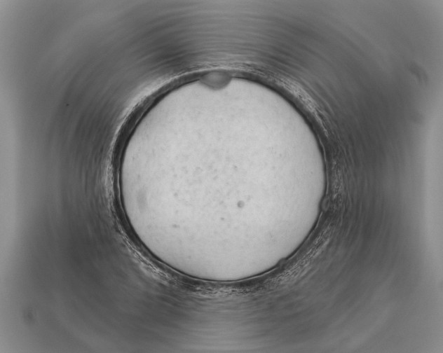 X0000112921072200909211047