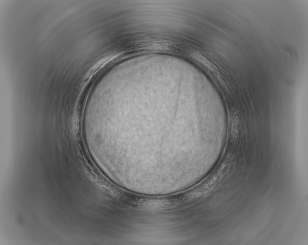 X0000112921074200909211047