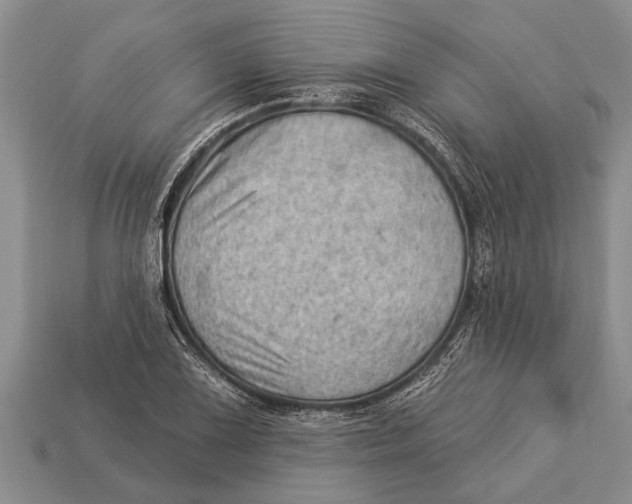 X0000112921075200909211047