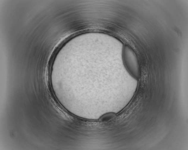 X0000112921076200909211047