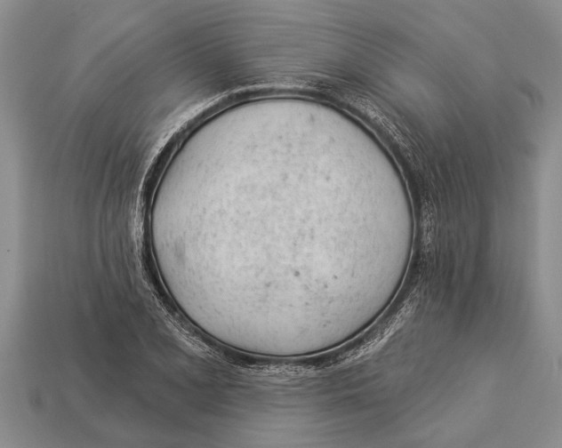 X0000112921077200909211047