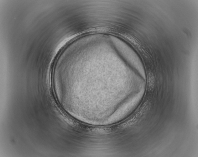 X0000112921078200909211047