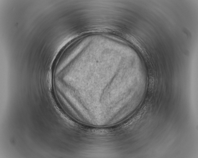 X0000112921079200909211047