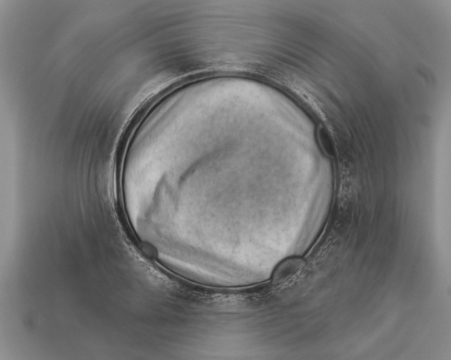 X0000112921080200909211047