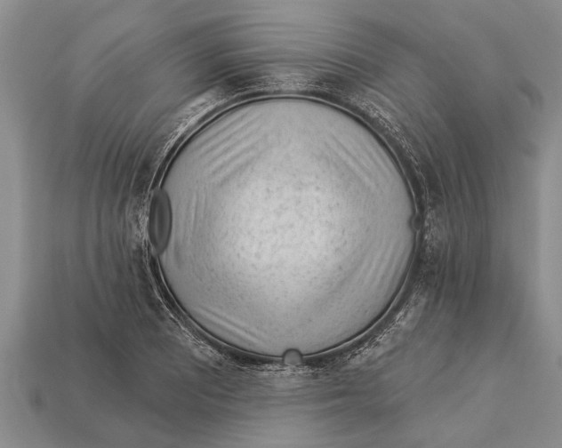 X0000112921081200909211047