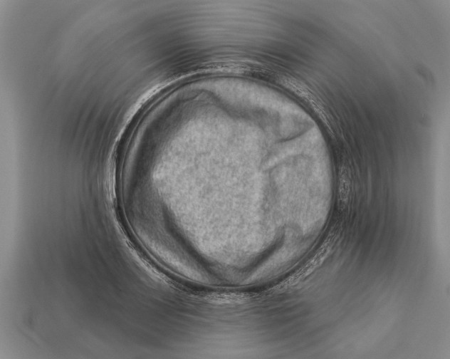 X0000112921083200909211047