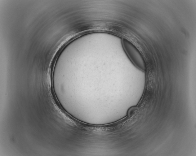 X0000112921084200909211047