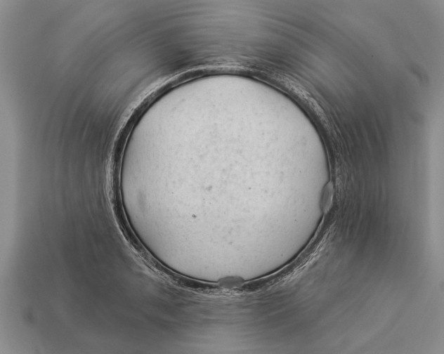 X0000112921085200909211047