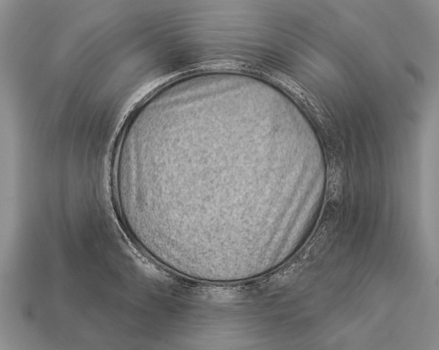 X0000112921086200909211047