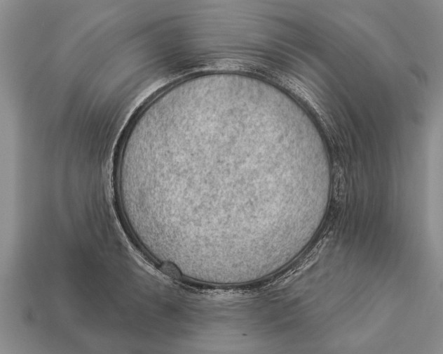 X0000112921087200909211047