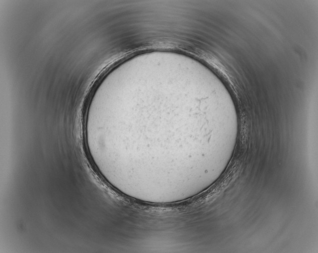 X0000112921088200909211047