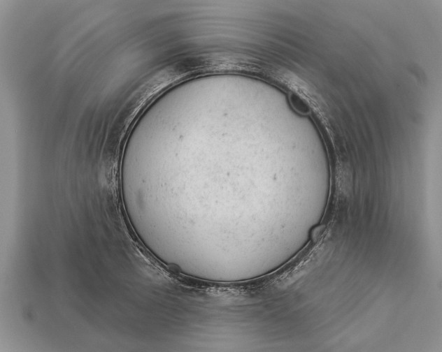 X0000112921089200909211047