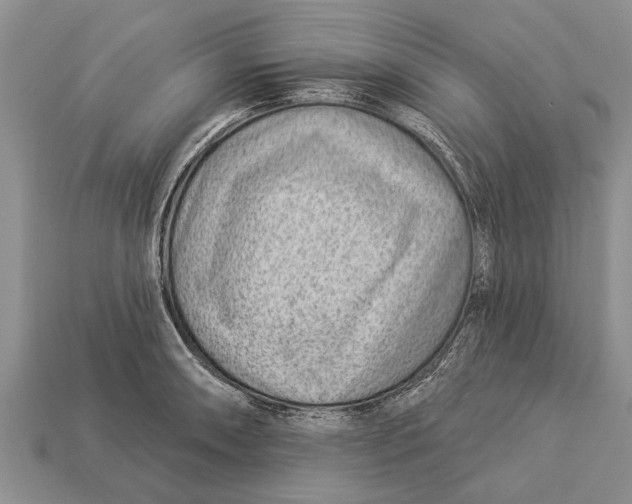 X0000112921090200909211047