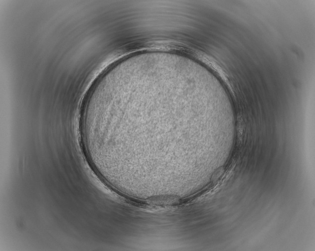 X0000112921091200909211047