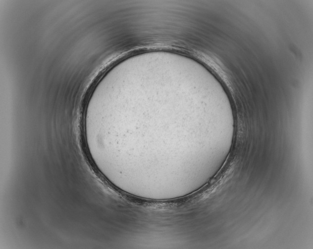 X0000112921093200909211047