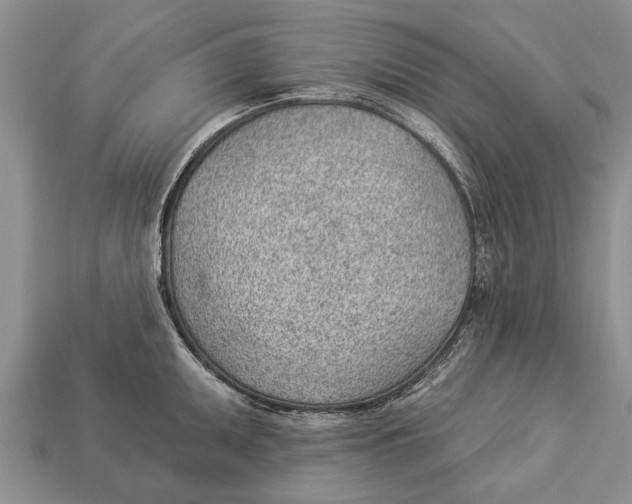 X0000112921095200909211047