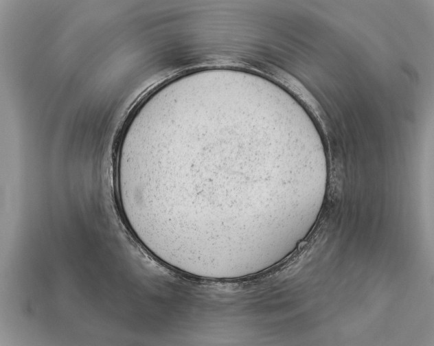 X0000112921096200909211047