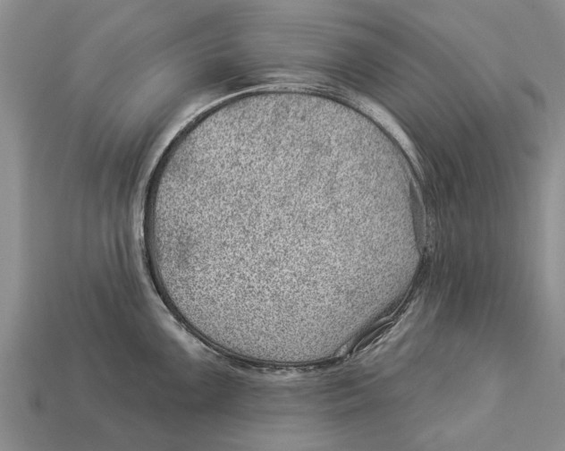 X0000112921099200909211047