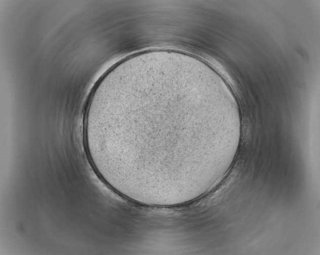 X0000112921100200909211047