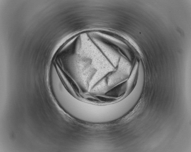X0000112921101200909211047