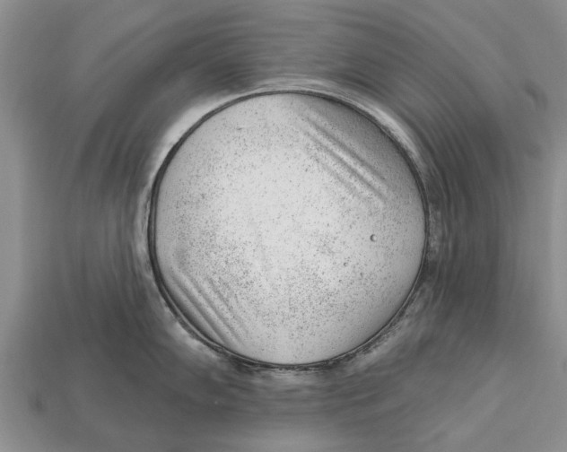 X0000112921102200909211047