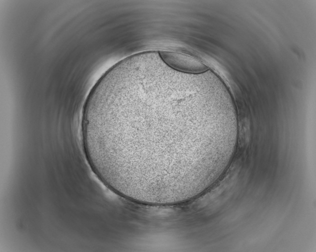 X0000112921103200909211047