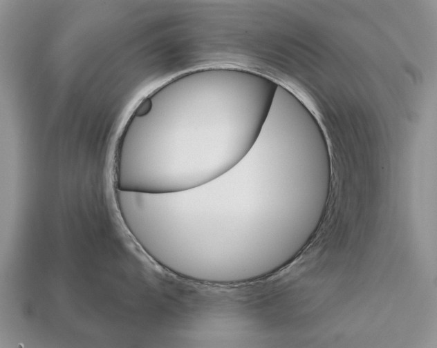 X0000112921104200909211047