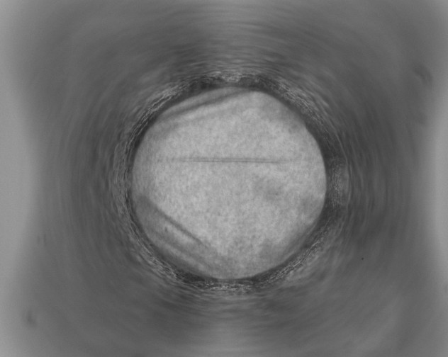 X0000112921105200909211046
