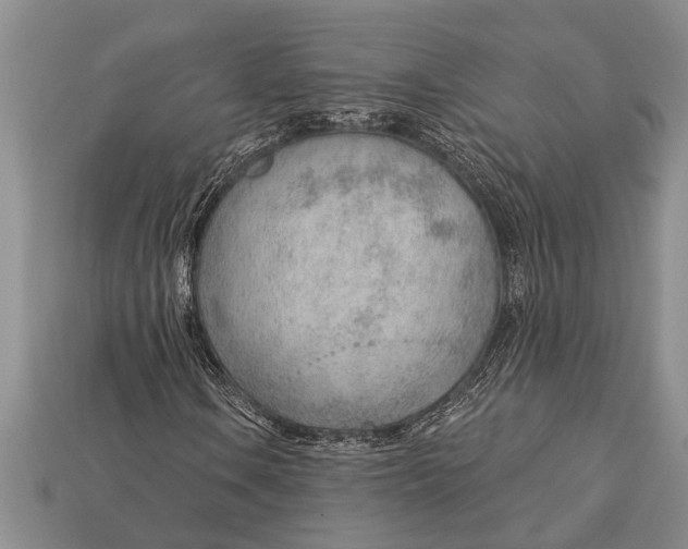 X0000112921106200909211046