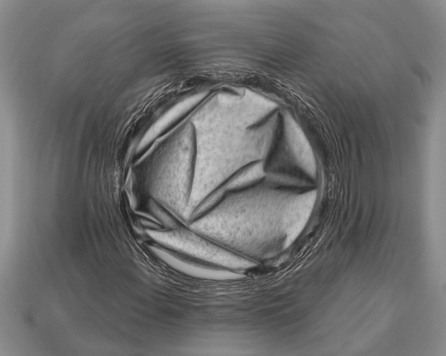 X0000112921108200909211046