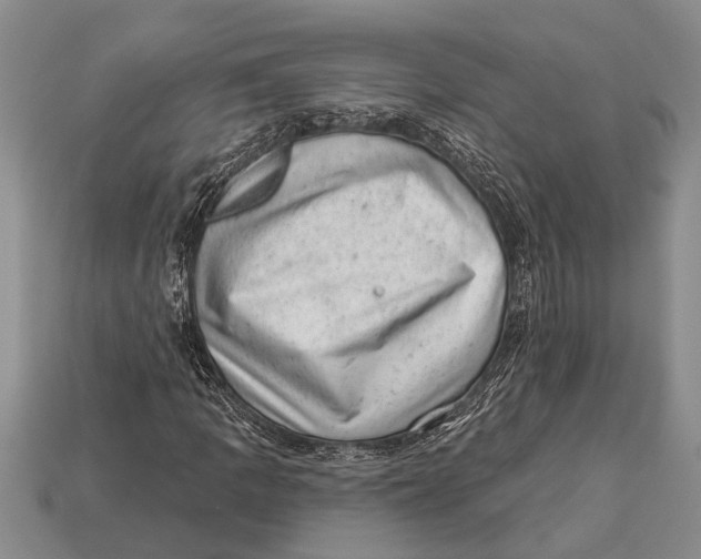 X0000112921109200909211046