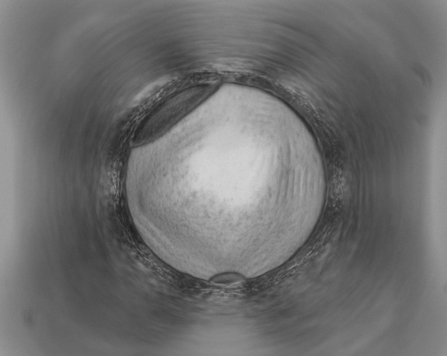 X0000112921110200909211046