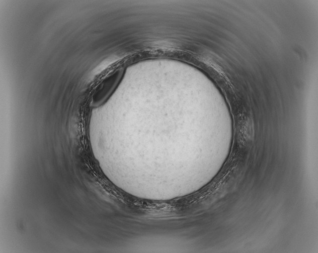 X0000112921112200909211046