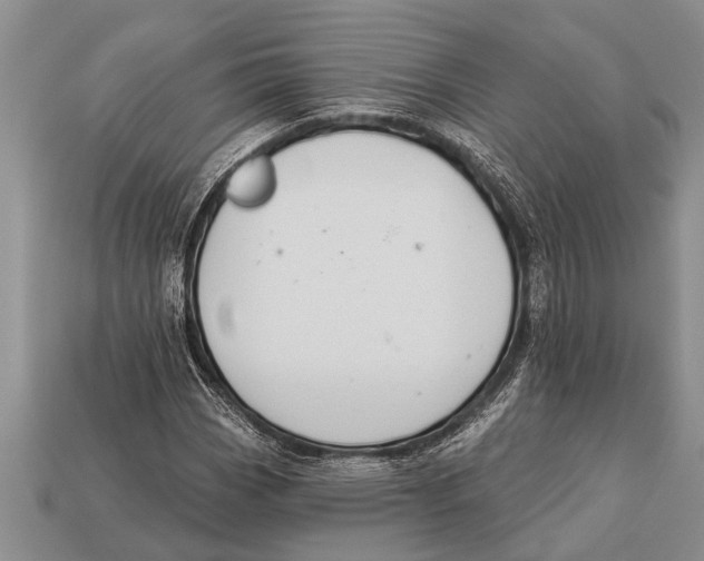 X0000112921113200909211046
