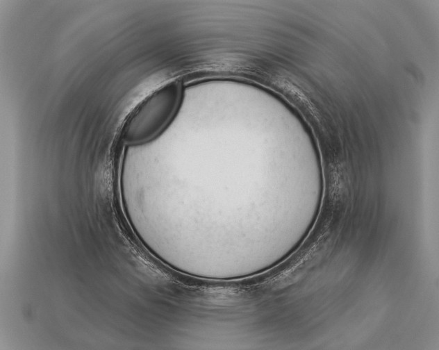 X0000112921114200909211046