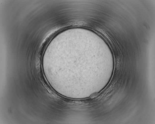 X0000112921115200909211046
