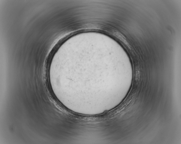 X0000112921116200909211046