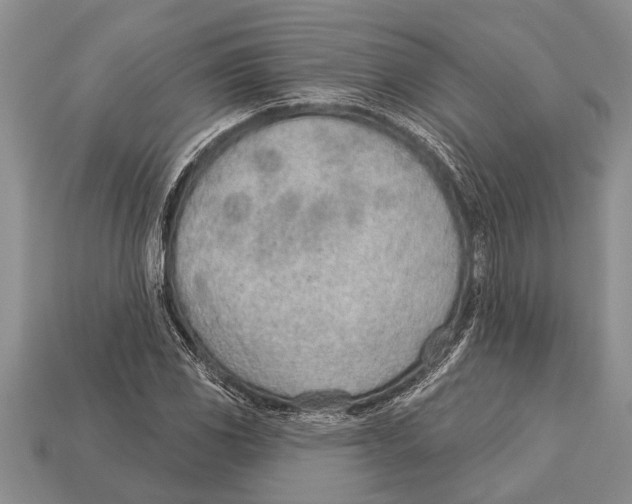 X0000112921117200909211046