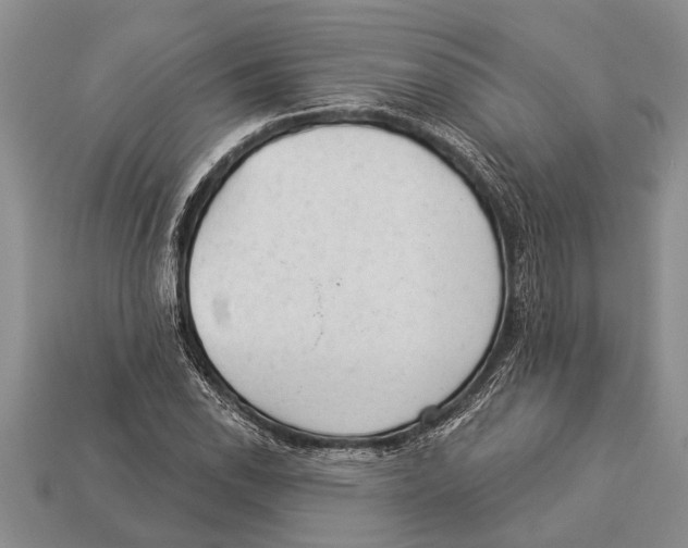 X0000112921118200909211046