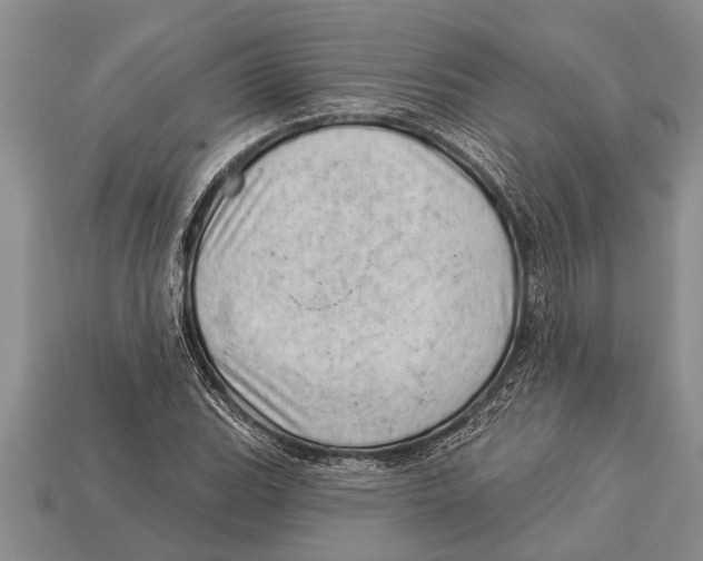 X0000112921119200909211046