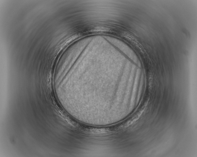 X0000112921121200909211046