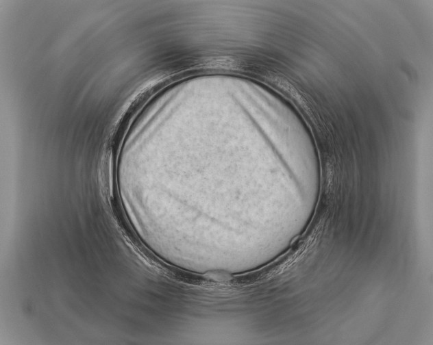 X0000112921123200909211046