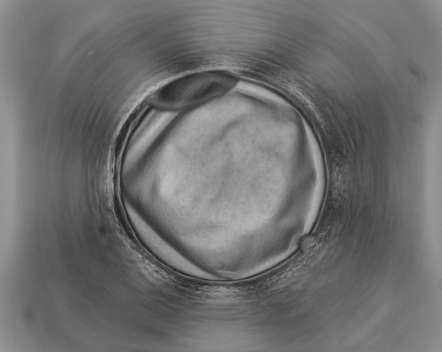 X0000112921124200909211046