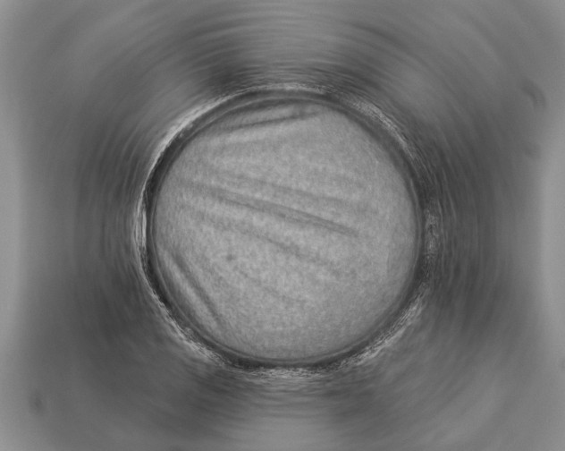 X0000112921125200909211047