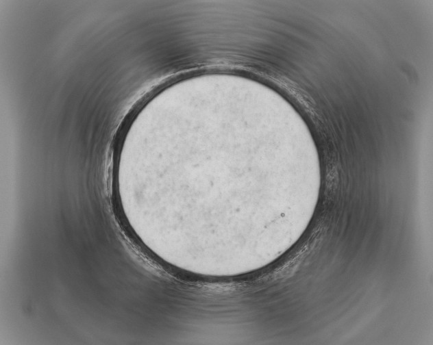 X0000112921126200909211047