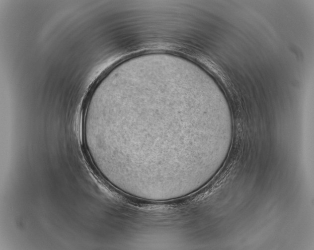 X0000112921127200909211047