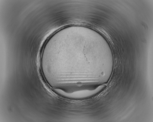 X0000112921128200909211047