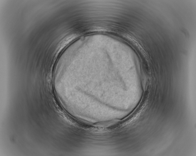 X0000112921129200909211047