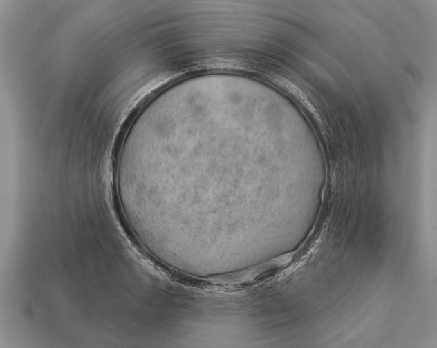 X0000112921133200909211047