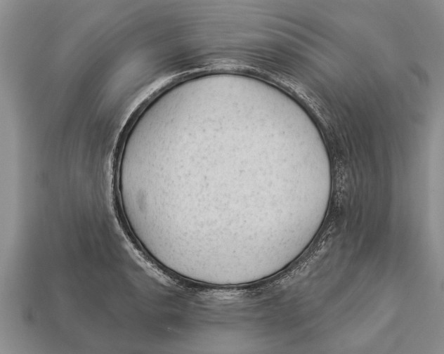 X0000112921134200909211047